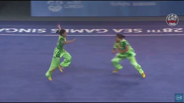 WUSHU CHANG QUAN | Stars Compilation | Kung Fu Champions | Taolu & Duilian Compétition | Wushu Tao