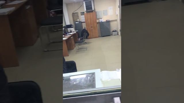 15 февраля 2019 г. смотреть онлайн