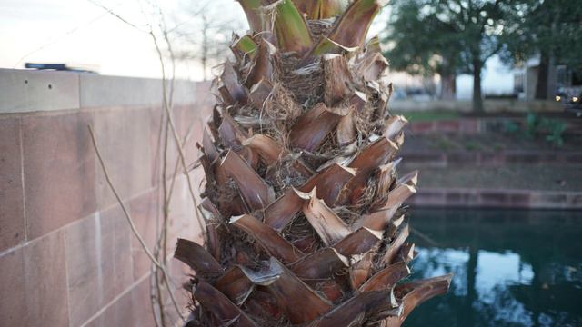 The $52 TTartisan 25mm F2