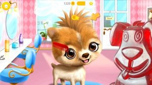 Стрижка для животных от желейного Стасика. Кошка, собака, лев и лама в парикмахерской.