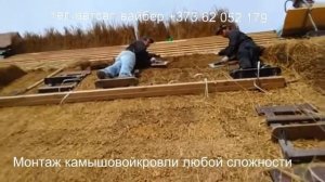 КАМЫШОВАЯ КРЫША 4
