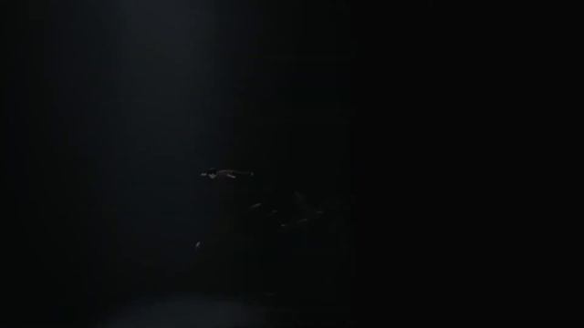 Прохождение INSIDE: Часть 3 (Опять эта амфибия !, Леветирующая вода О_о) смотреть онлайн