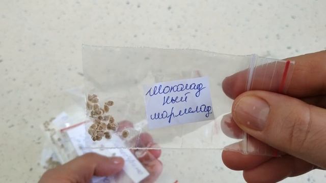 Томаты -2020 ?.МОЙ ВЫБОР.Новые сорта от коллекционера.ч 2 смотреть онлайн