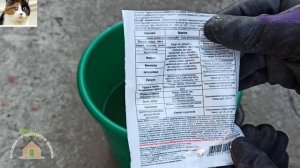 Как бороться с черной тлей на вишне