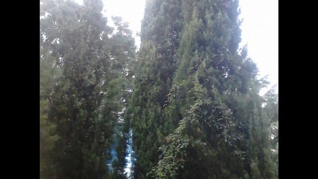 Крым 2014г. Июль. смотреть онлайн