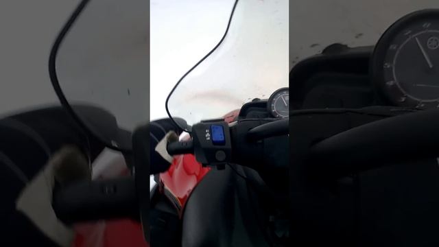 Yamaha Viking Professional speed смотреть онлайн