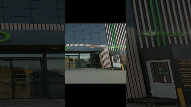 Птичка сама летает смотреть онлайн