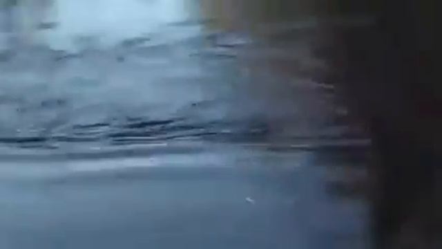 Рыбалка . Гигантская рыба , Таймень ; Fishing . big fish смотреть онлайн