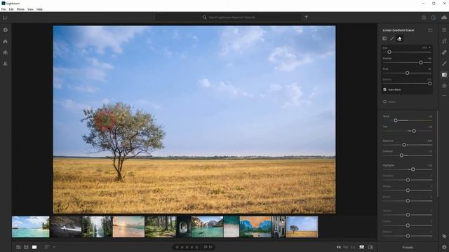 Lightroom Basics: Linear Gradient смотреть онлайн