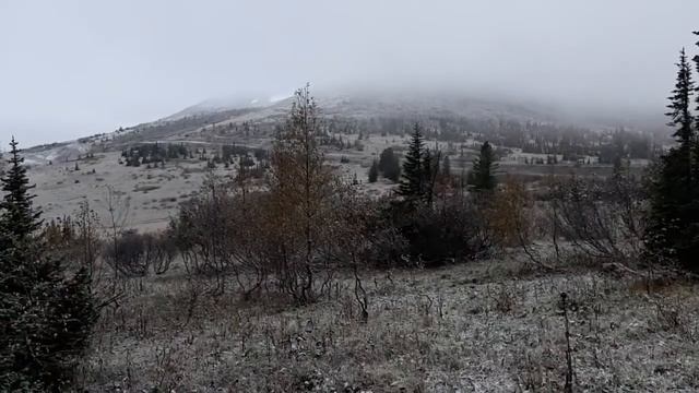 Беренжак первый снег 05.09.20 смотреть онлайн