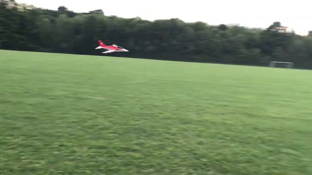 Freewing Stinger 64