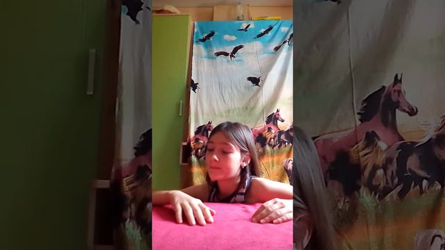 Порода Йоркширский терьер 1 смотреть онлайн