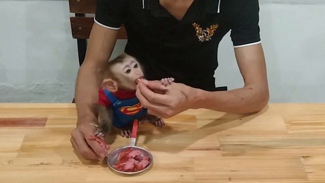 Baby Monkey Biz Biz Make Sausage Platter With Kitten Puppy Feeding Rabbit | Animals Baby Monkey