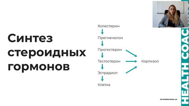 Климактерический синдром Менопауза Раннее истощение яичников 1 смотреть онлайн