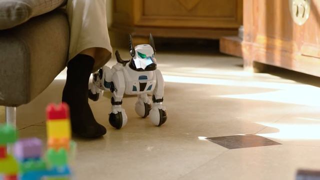 RASTAR   RS Intelligent DOGO