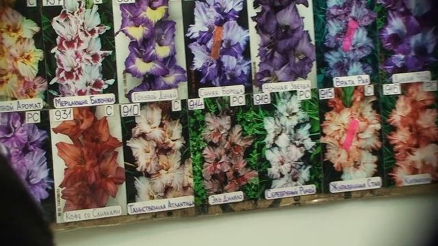 Фазенда - 2012 / Весна №18