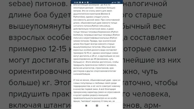Обыкновенный удав (Boa constritor). Коротко о самом популярном удаве в террариумистике смотреть онлайн