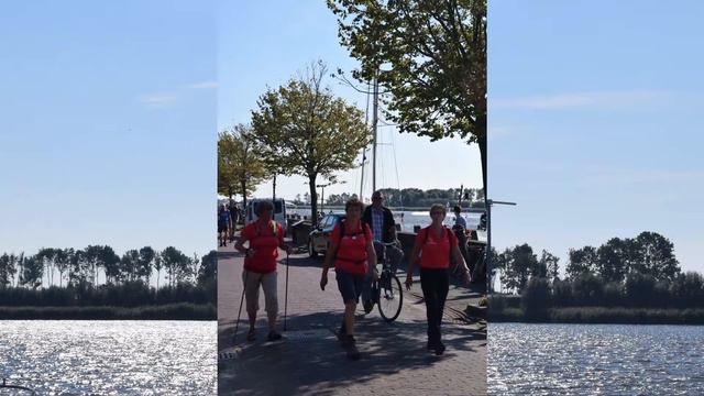 TodN 2016 Zoutkamp смотреть онлайн