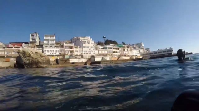 АЛУПКА ДАЙВИНГ смотреть онлайн