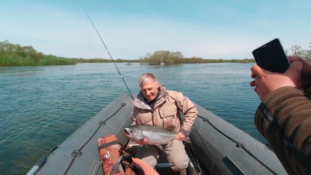 Камчатская весна 2021 . С нахлыстом за чавычей и симой. смотреть онлайн