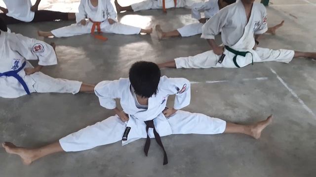 the ultimate kyokushin Kai Karate academy смотреть онлайн