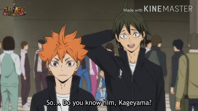 Haikyuu!! To The Top: Hinata Meets The New Little Giant