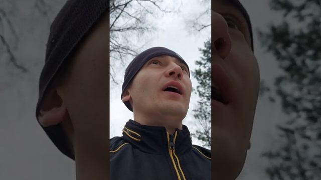 Сбор берёзового сока! смотреть онлайн