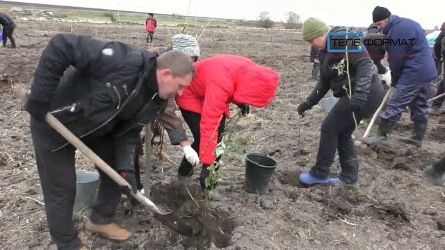 Сад в Белогорном смотреть онлайн