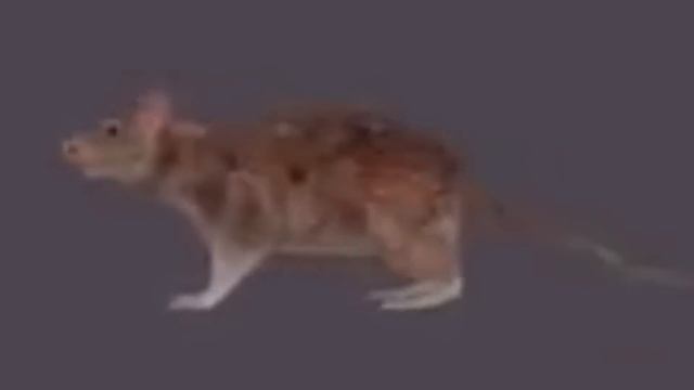 low quality gangam style смотреть онлайн