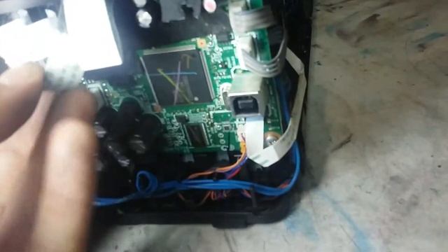 Принтер не печатает Canon MP250 с животными внутри