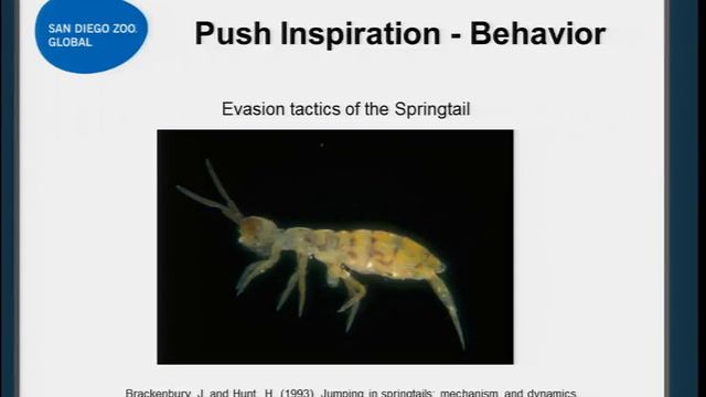 Biomimicry, Bioinspiration, and the San Diego Zoo смотреть онлайн