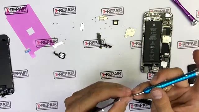 Замена дисплея iPhone 6. Инструкция по замене дисплея своими руками iPhone 6. смотреть онлайн