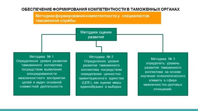Дипломная презентация по социализации специалистов таможенного дела смотреть онлайн