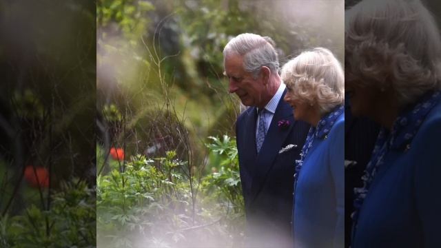 92904959_635264513982568_8079323533409467498_n