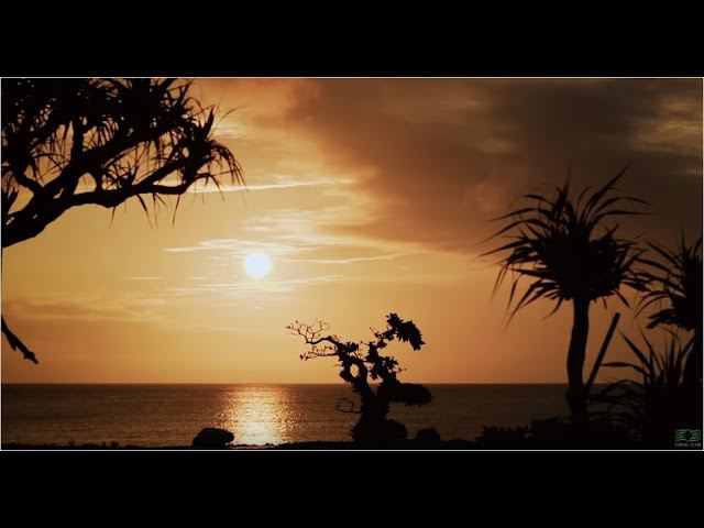 Мастерские каникулы 2019. Япония смотреть онлайн