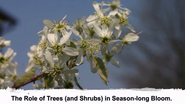 OSBA Friday Breakout ~ Denise Ellsworth "OSU Phenology Calendar * Central Place Foragers" смотреть онлайн