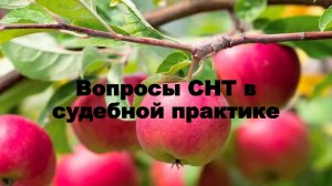 Вебинар «Вопросы СНТ в судебной практике» 1 часть
