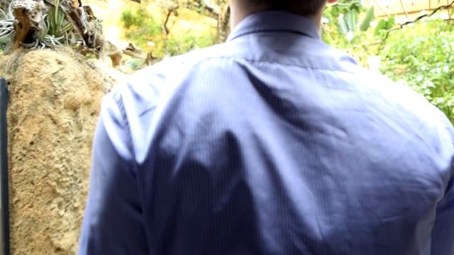 Wroclaw ZOO смотреть онлайн