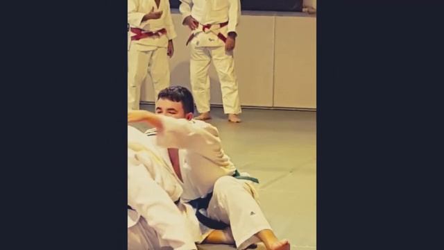 stage judo vétéran à Foix Août 2018 смотреть онлайн