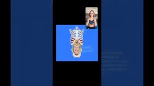 Дыхание. Диафрагма. Работа грудобрюшной диафрагмы. Расслабление диафрагмы, упражнения для диафрагмы