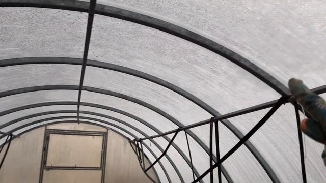 17.11 Иваново. Укрываю розы, закрываю сезон. Каталоги семян томатов в закрепленных комментариях.