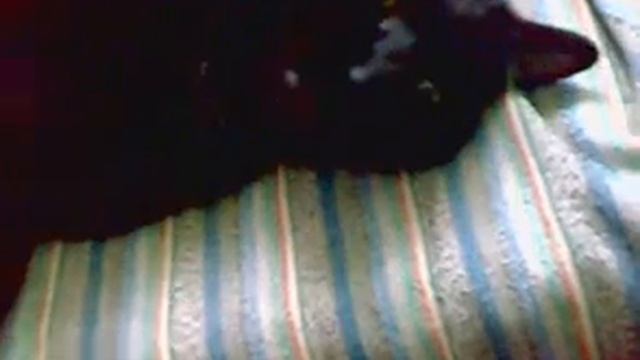 фигурное валяние смотреть онлайн