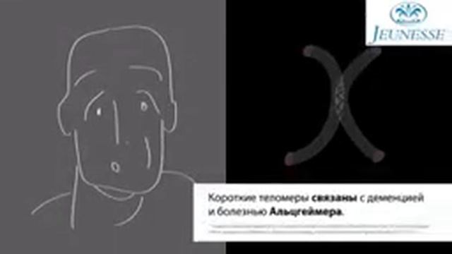 Нобелевская премия за будущее бессмертие Jeunesse globa БЕЛАРУСЬ смотреть онлайн