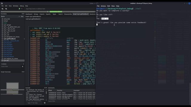 How to debug your exploit and payloads - Binary Exploitation PWN101 смотреть онлайн