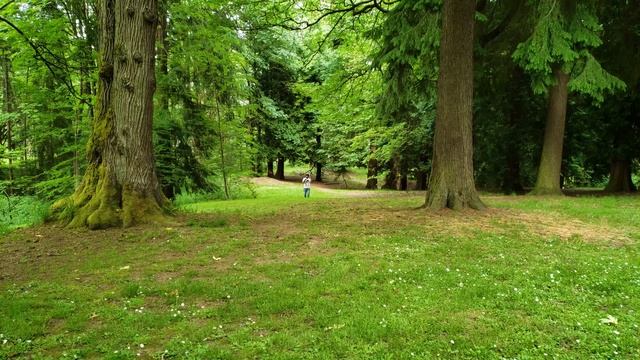 Best Wireless Microphone System Karaoke Cheap Budget (Tonor Dynamic Bluetooth Mic Review)