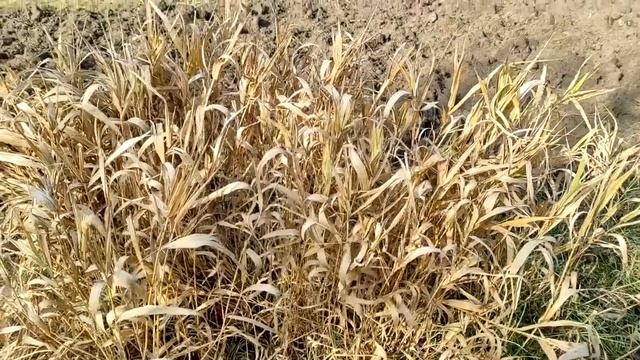 Выбирайте человека так, словно вы слепы. смотреть онлайн