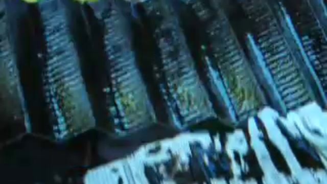 UFI vs. Fram Oil Filter Teardown VW Ferrari Part 1 DSCN0816.MOV смотреть онлайн