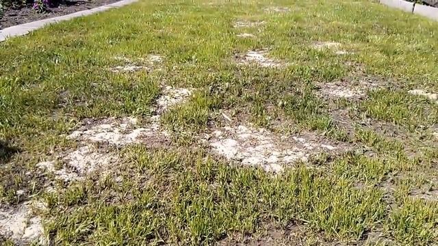 ОНЛАЙН ТРЕЙД.РУ — Триммер электрический Bosch ART 23 SL смотреть онлайн