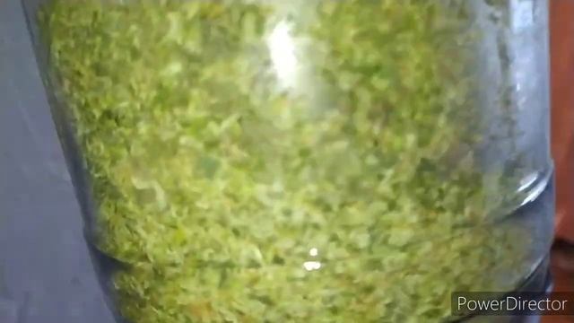 готовлю хмель❗витом это чудо❗новости хозяйства❗ смотреть онлайн