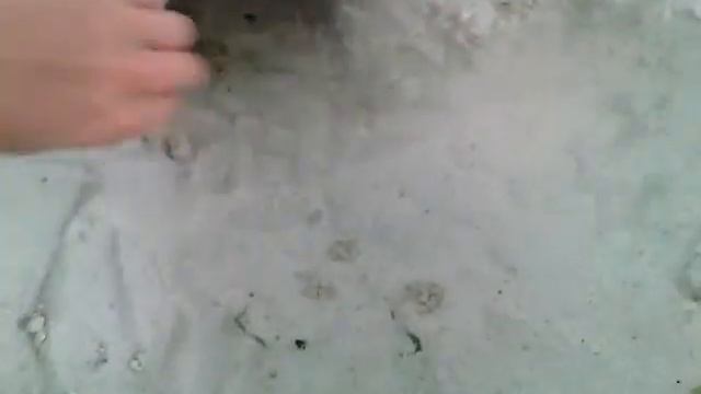 самый большой замок из песка. смотреть онлайн